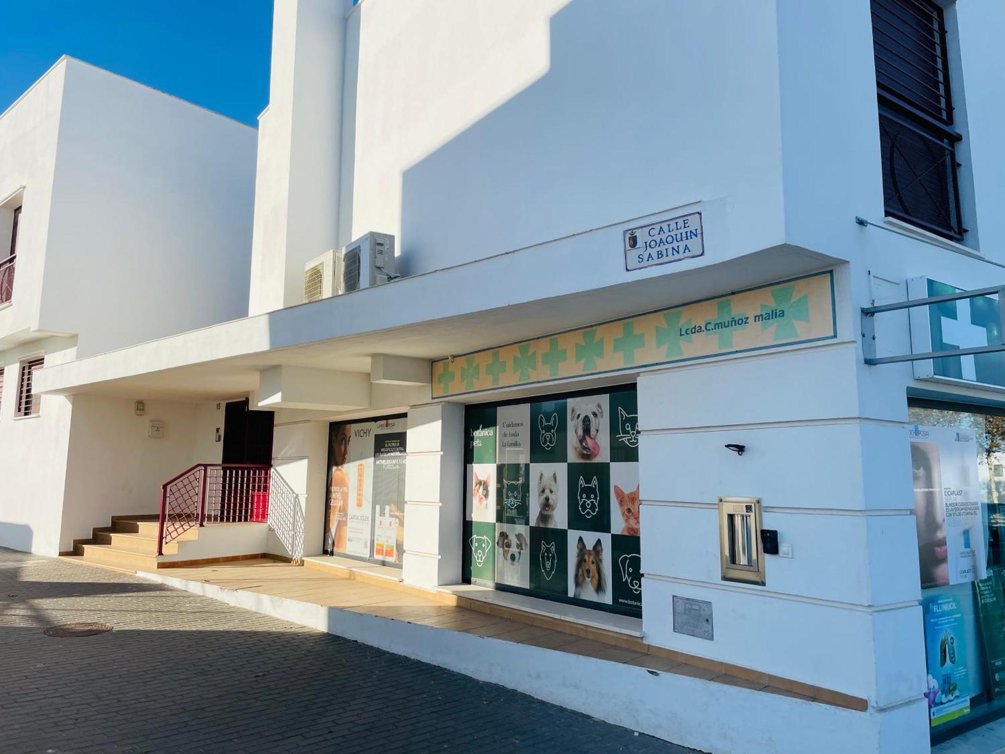 Atico Premium Conil Con 2 Terrazas, Parking, Piscina, Aire Ac Y Wifi -Solo Familias Y Parejas- Lejlighed Conil De La Frontera Eksteriør billede