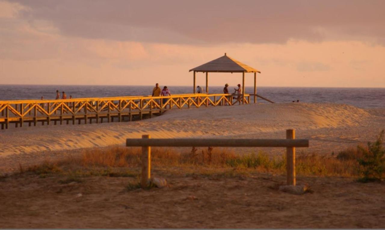 Atico Premium Conil Con 2 Terrazas, Parking, Piscina, Aire Ac Y Wifi -Solo Familias Y Parejas- Lejlighed Conil De La Frontera Eksteriør billede